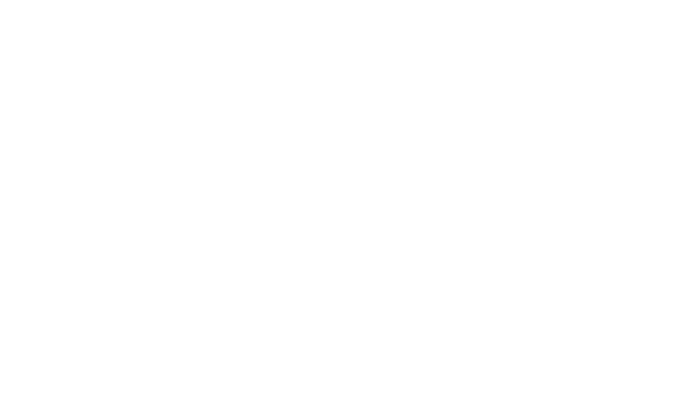 Blind Courage logo
